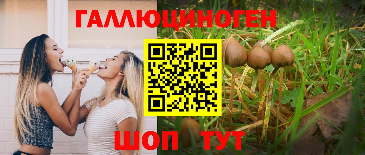 Галлюциногенные грибы мицелий Донской